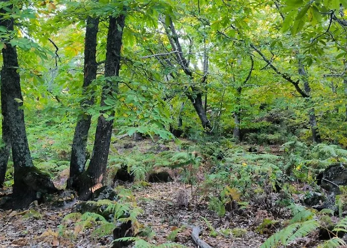 Ruralis Altozano Guest house